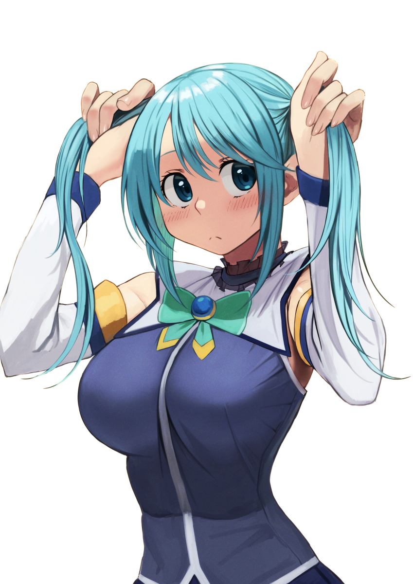 This is a pixiv picture whose title is 『ツインテールの日』.