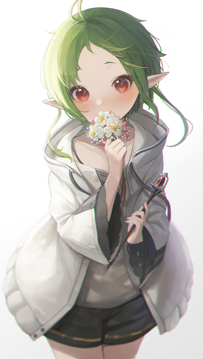This is a pixiv picture whose title is シルフィ.