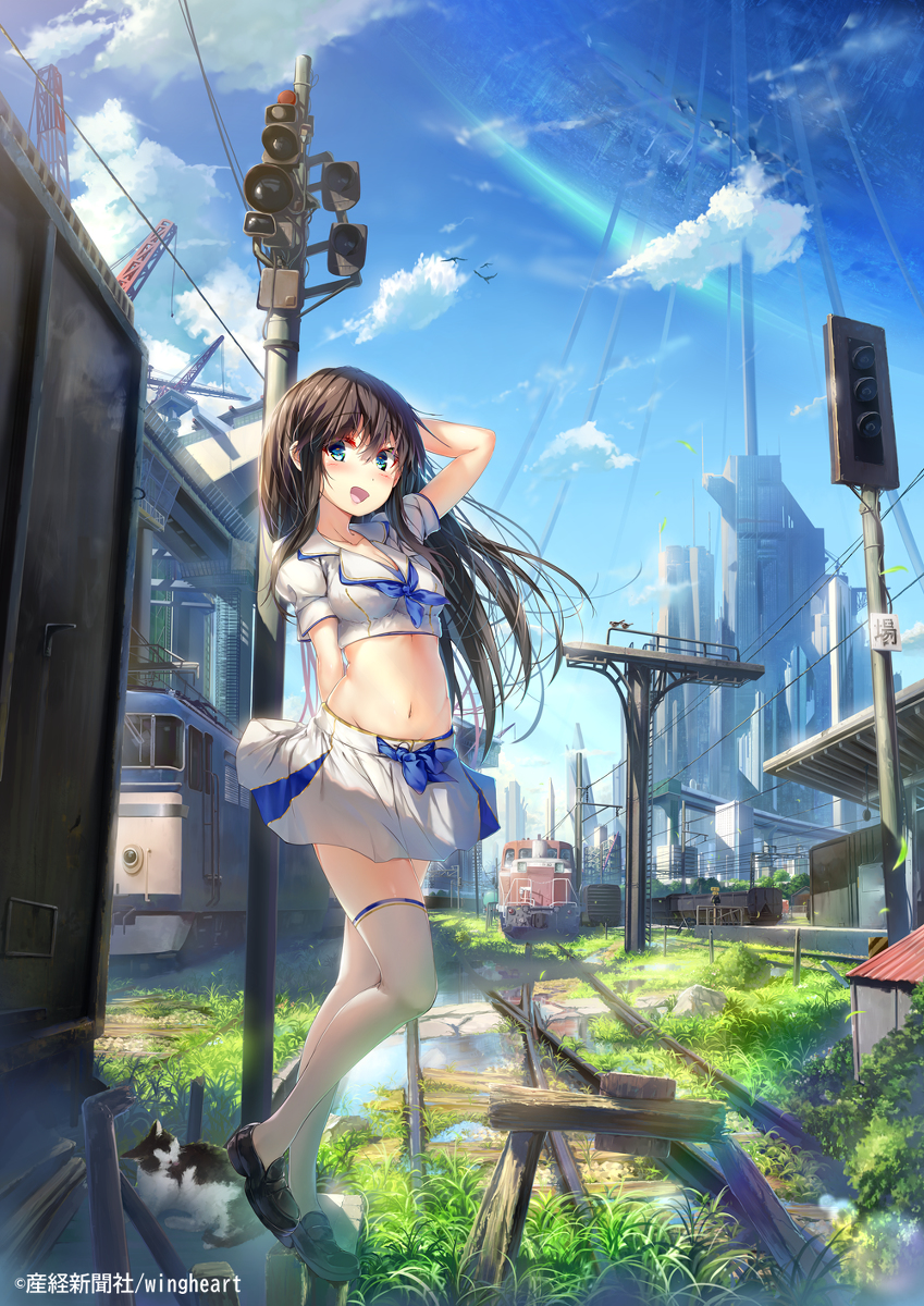 This is a pixiv picture whose title is 先へ続く道は.