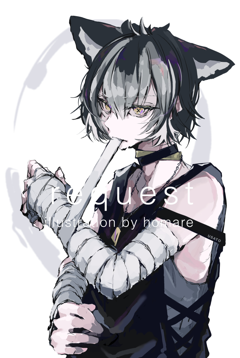 This is a pixiv picture whose title is request_040.