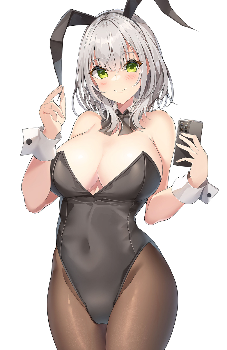 This is a pixiv picture whose title is 白銀ノエル.