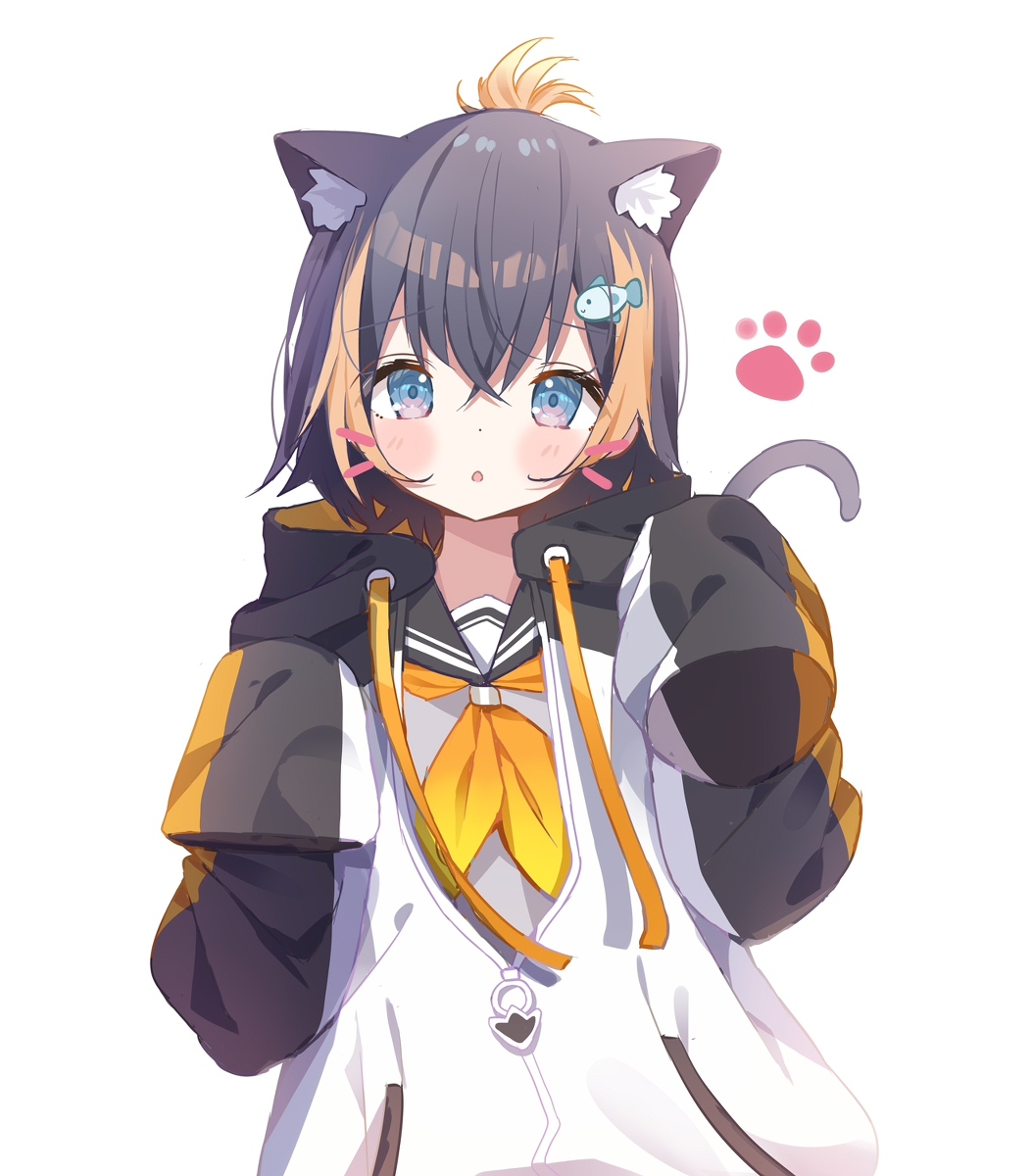 This is a pixiv picture whose title is Neko Petra.