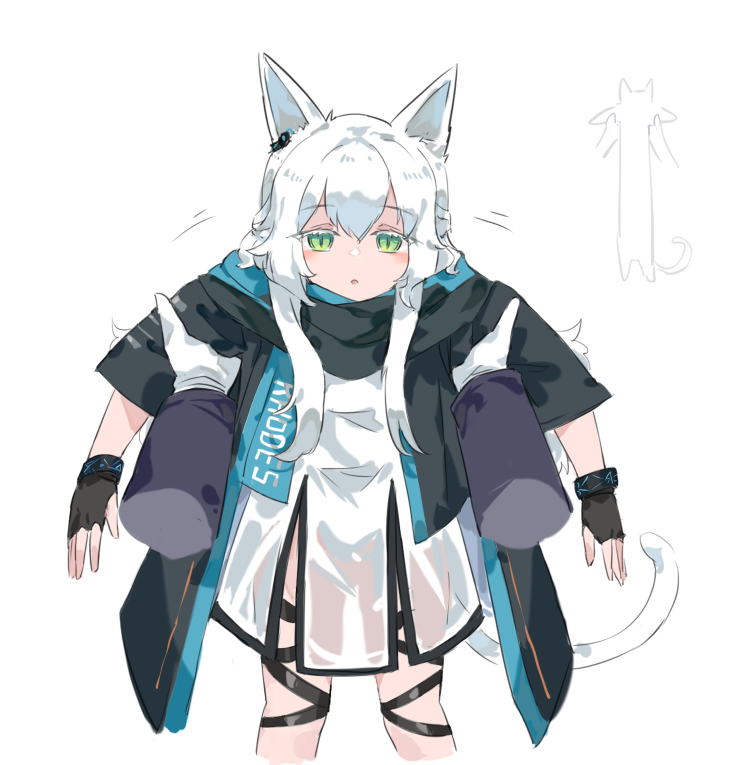 This is a pixiv picture whose title is 猫の日.