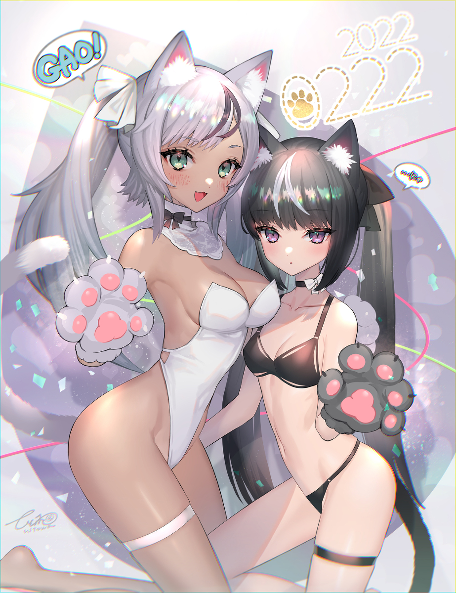 This is a pixiv picture whose title is すーぱーねこの日！.