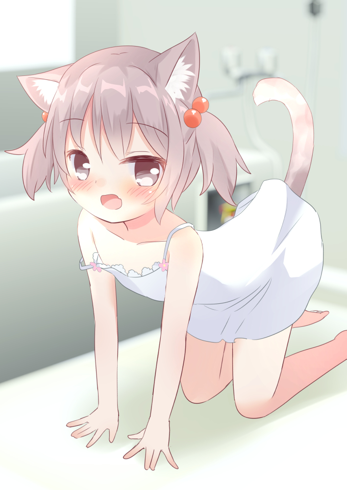 This is a pixiv picture whose title is ねこさんあらいっこ.