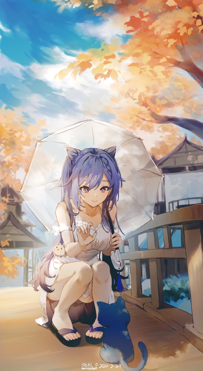 This is a pixiv picture whose title is 两只喵喵:D.