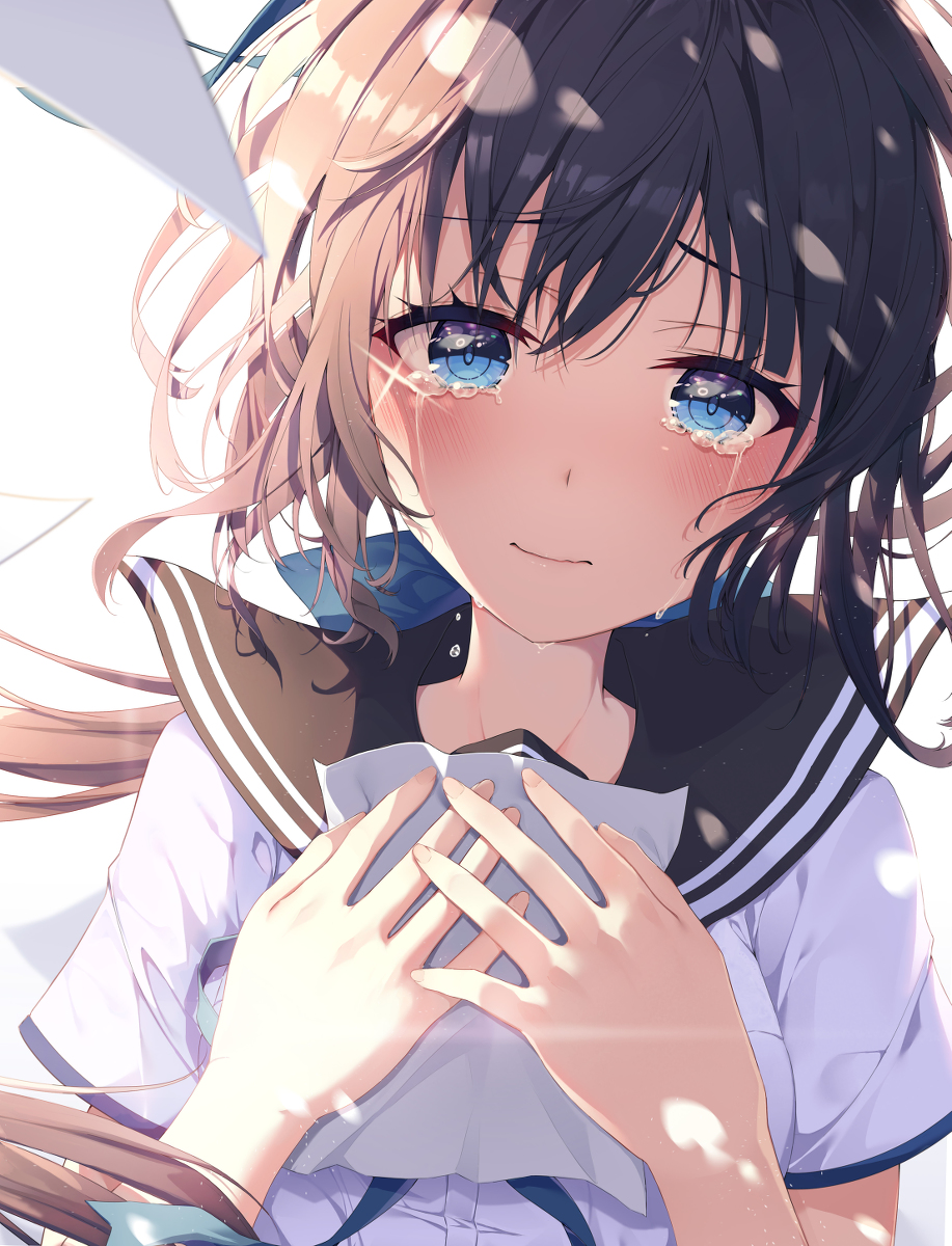 This is a pixiv picture whose title is 女の子.