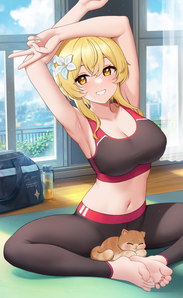 This is a pixiv picture whose title is V.