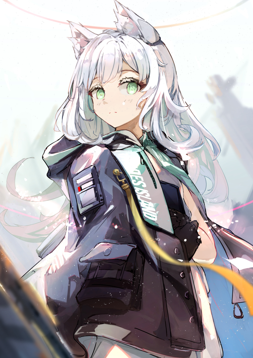 This is a pixiv picture whose title is ロスモンティス.