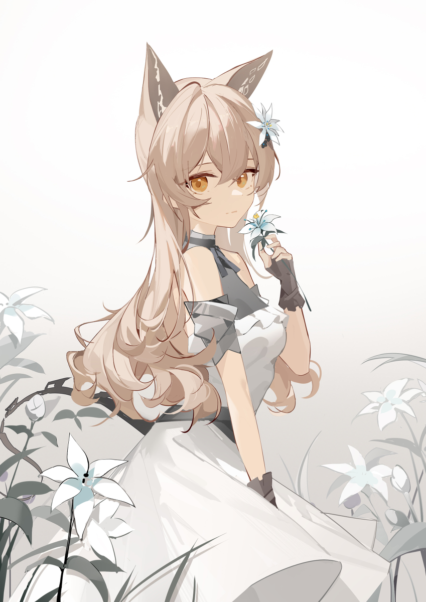 This is a pixiv picture whose title is 无题.