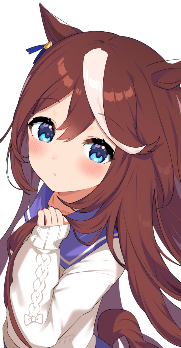 This is a pixiv picture whose title is おろし髪テイオー.