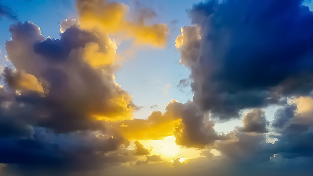 This is a pixiv picture whose title is 夜明けの光.