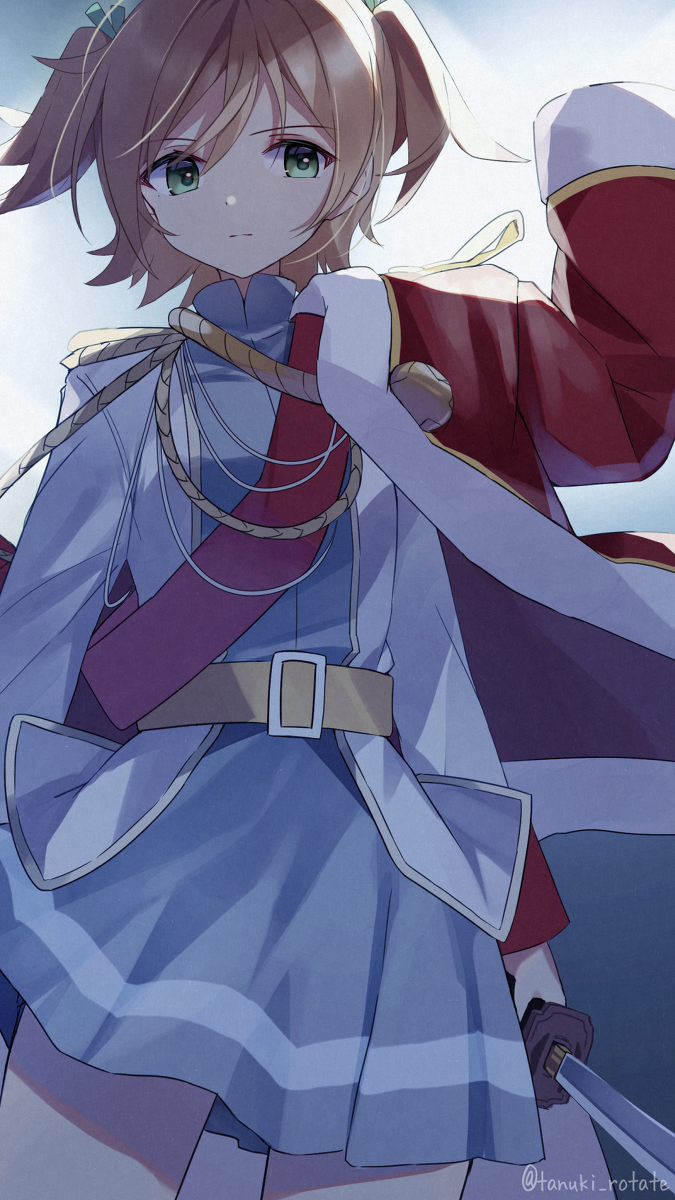 This is a pixiv picture whose title is ワイルドスクリーンバロック.