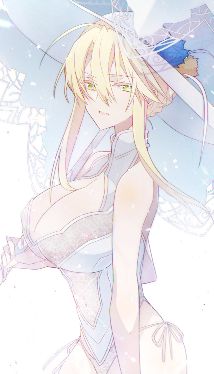 This is a pixiv picture whose title is 【我らの王は完全だ】.
