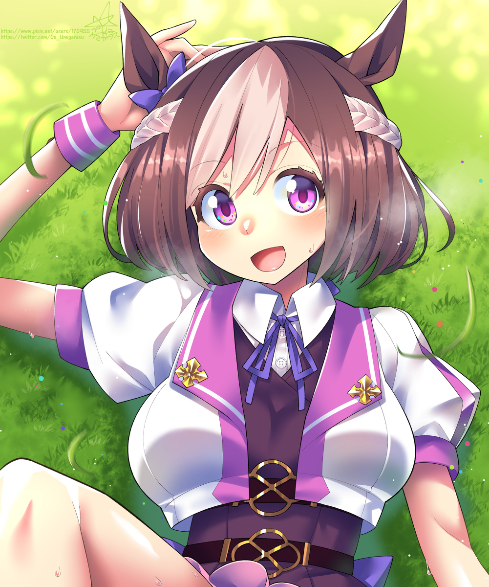 This is a pixiv picture whose title is Lay on the grass.