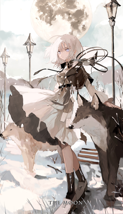 This is a pixiv picture whose title is The Moon.