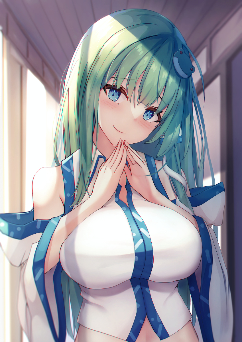 This is a pixiv picture whose title is 早苗さん.