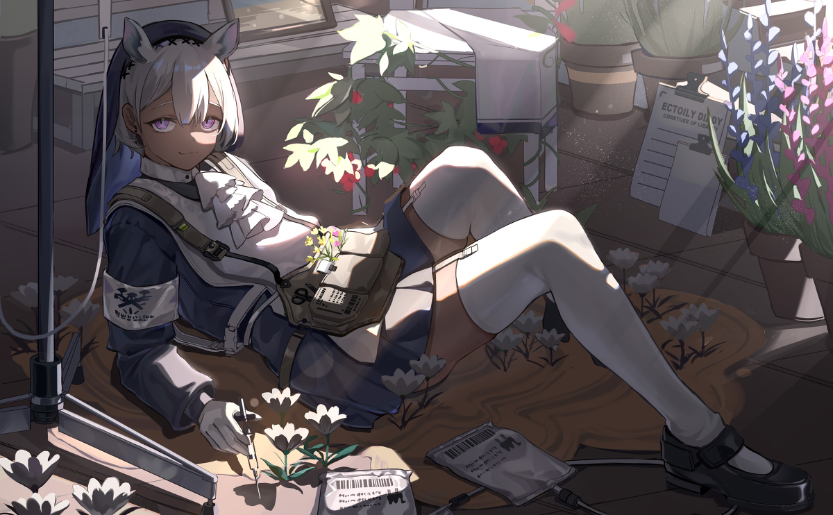 This is a pixiv picture whose title is 无题.