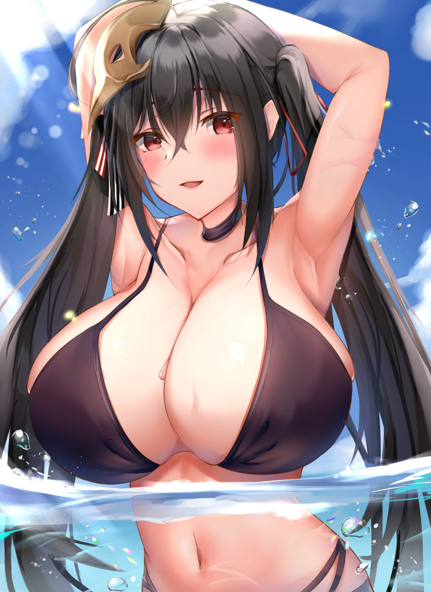 This is a pixiv picture whose title is 大鳳.