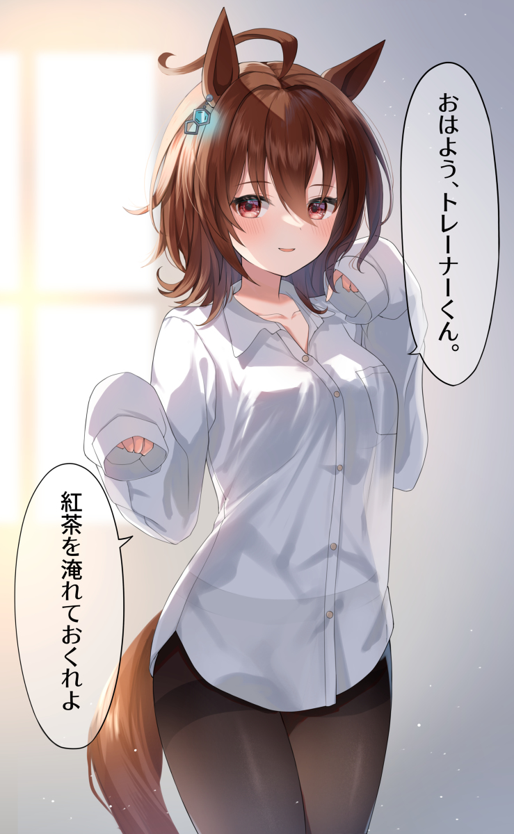 This is a pixiv picture whose title is 彼シャツアグネスタキオン.