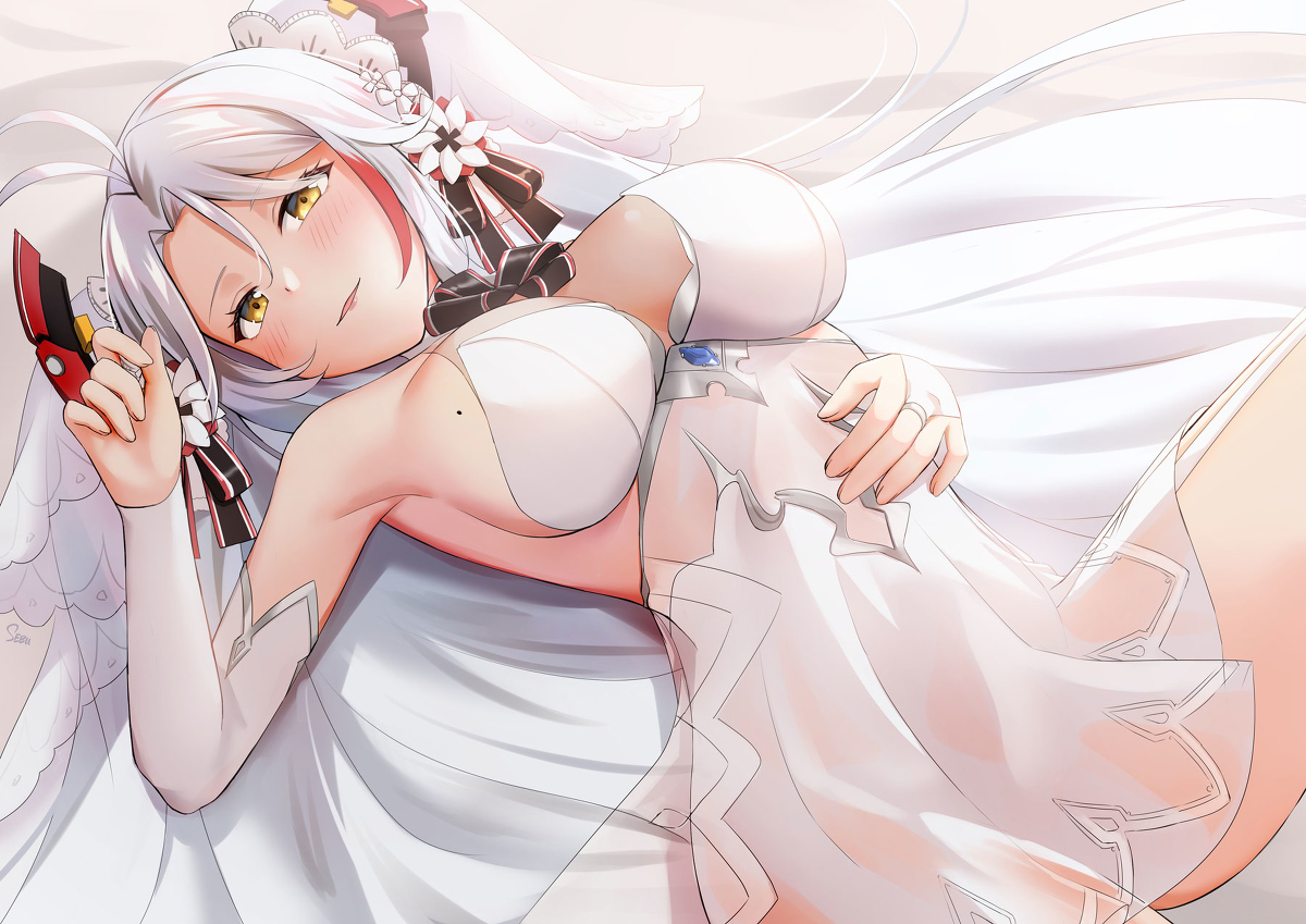 This is a pixiv picture whose title is プリンツ・オイゲン.