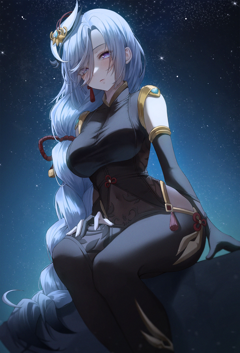 This is a pixiv picture whose title is 申鶴.