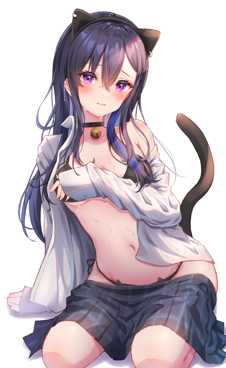 This is a pixiv picture whose title is 猫のせちゃん.