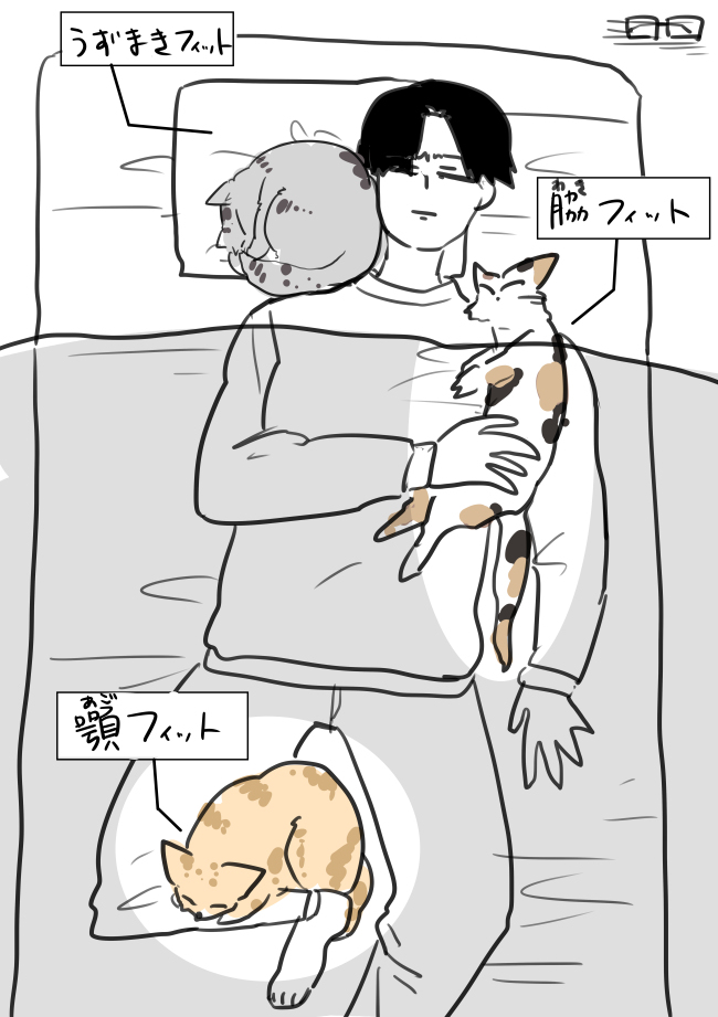 This is a pixiv picture whose title is 猫がフィットするよっちゃん.