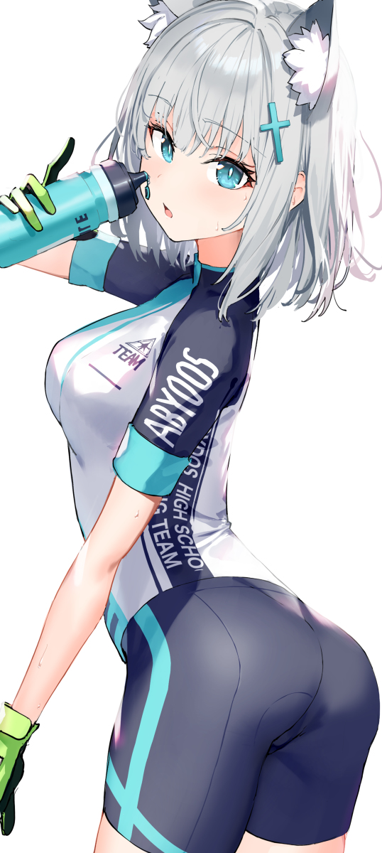 This is a pixiv picture whose title is シロコ.