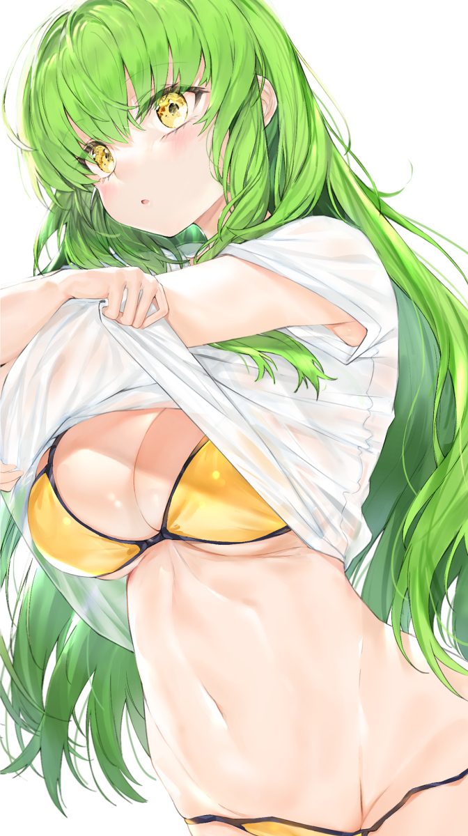 This is a pixiv picture whose title is C.C..