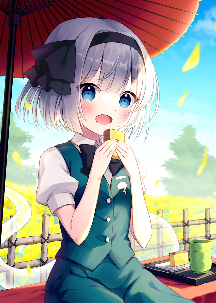 This is a pixiv picture whose title is 菜の花畑と妖夢ちゃん.