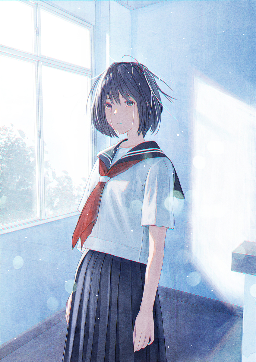 This is a pixiv picture whose title is Sentimental High School Fourteen.