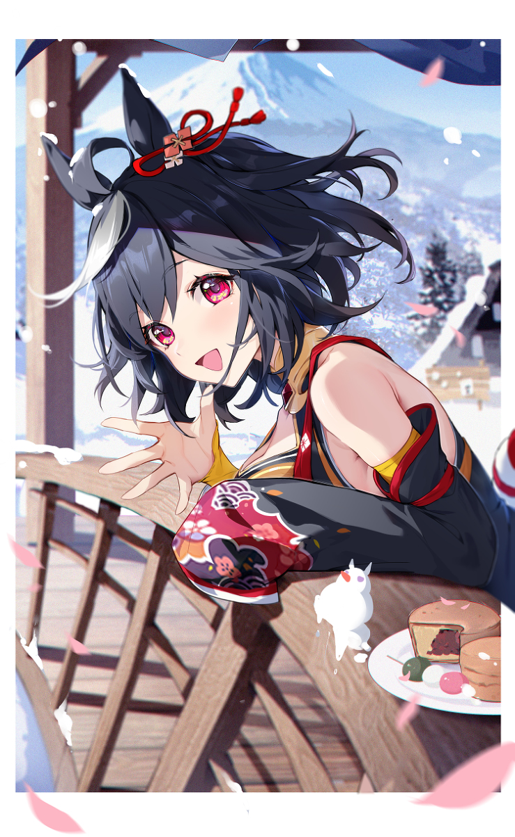 This is a pixiv picture whose title is キタサンブラック.