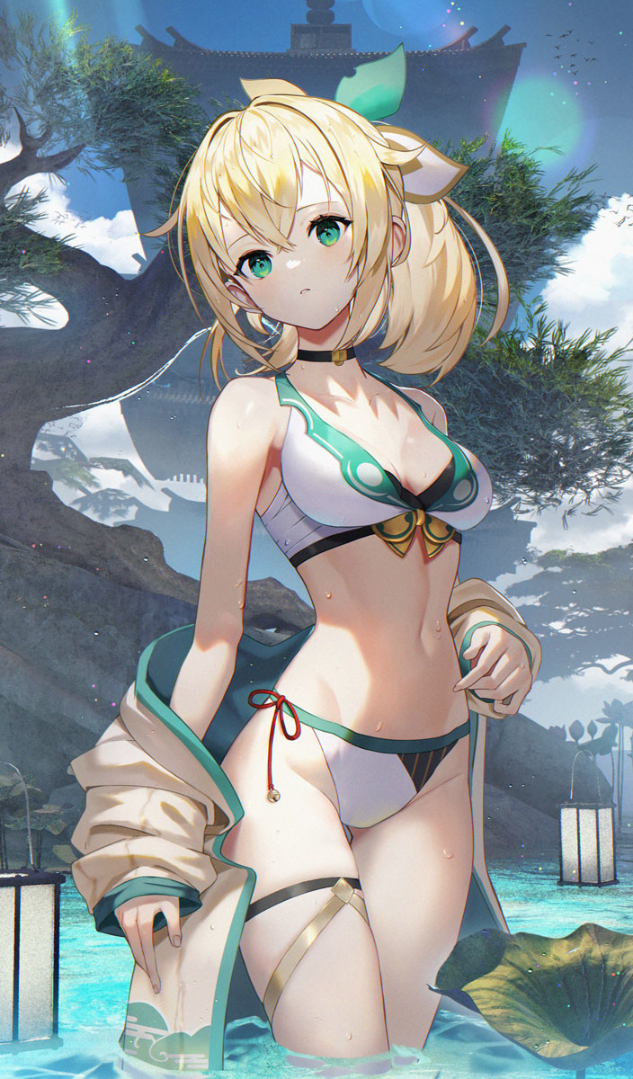 This is a pixiv picture whose title is 水着いろは殿.