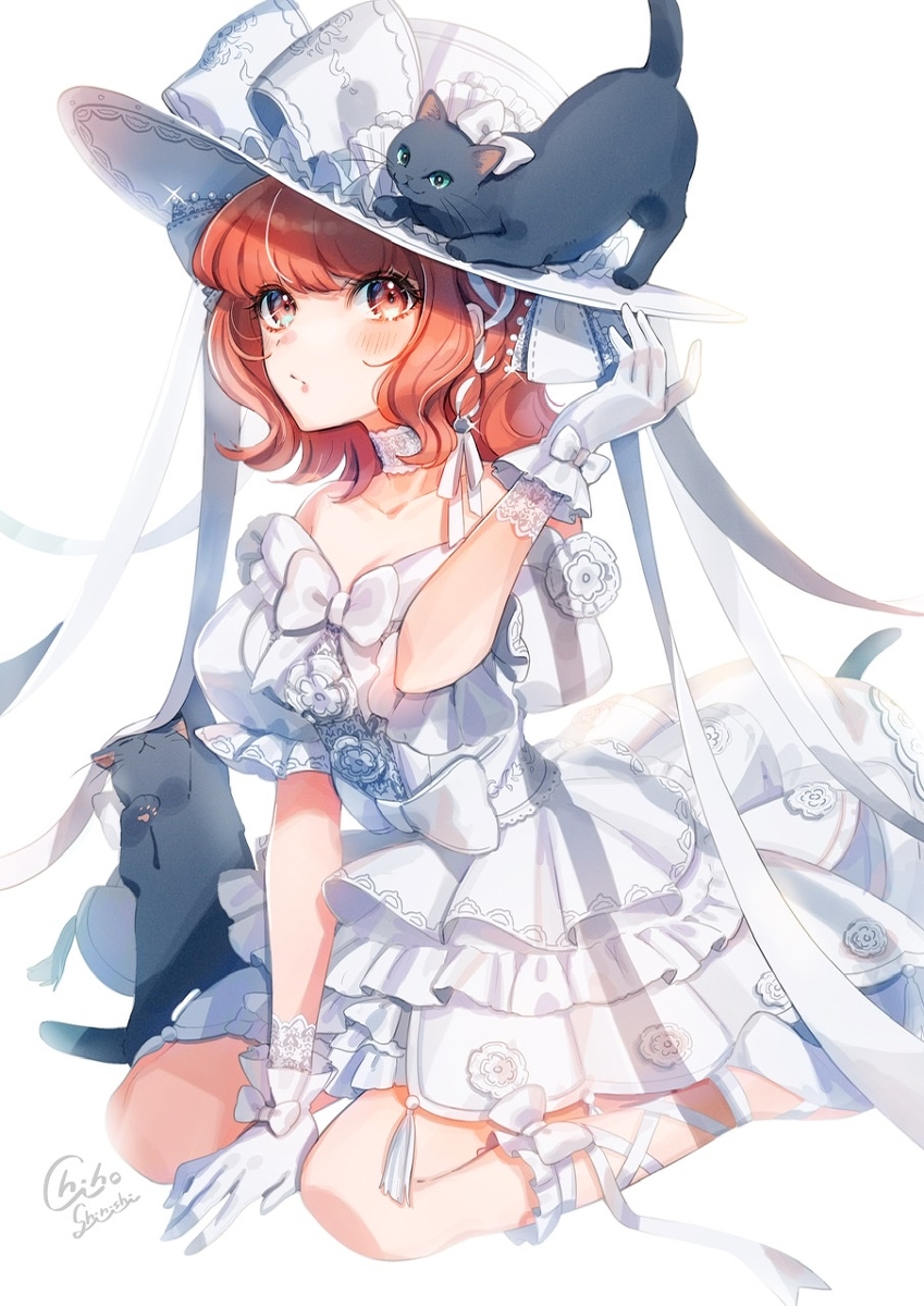This is a pixiv picture whose title is 帽子と猫.