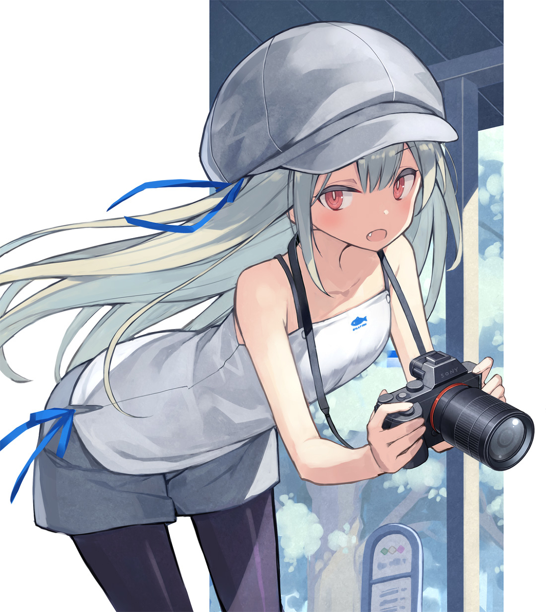 This is a pixiv picture whose title is カメラ娘.