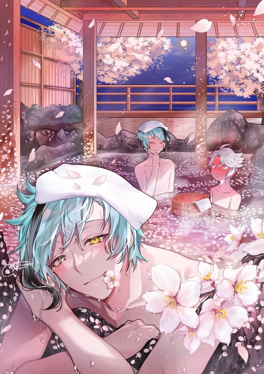 This is a pixiv picture whose title is 夜桜.