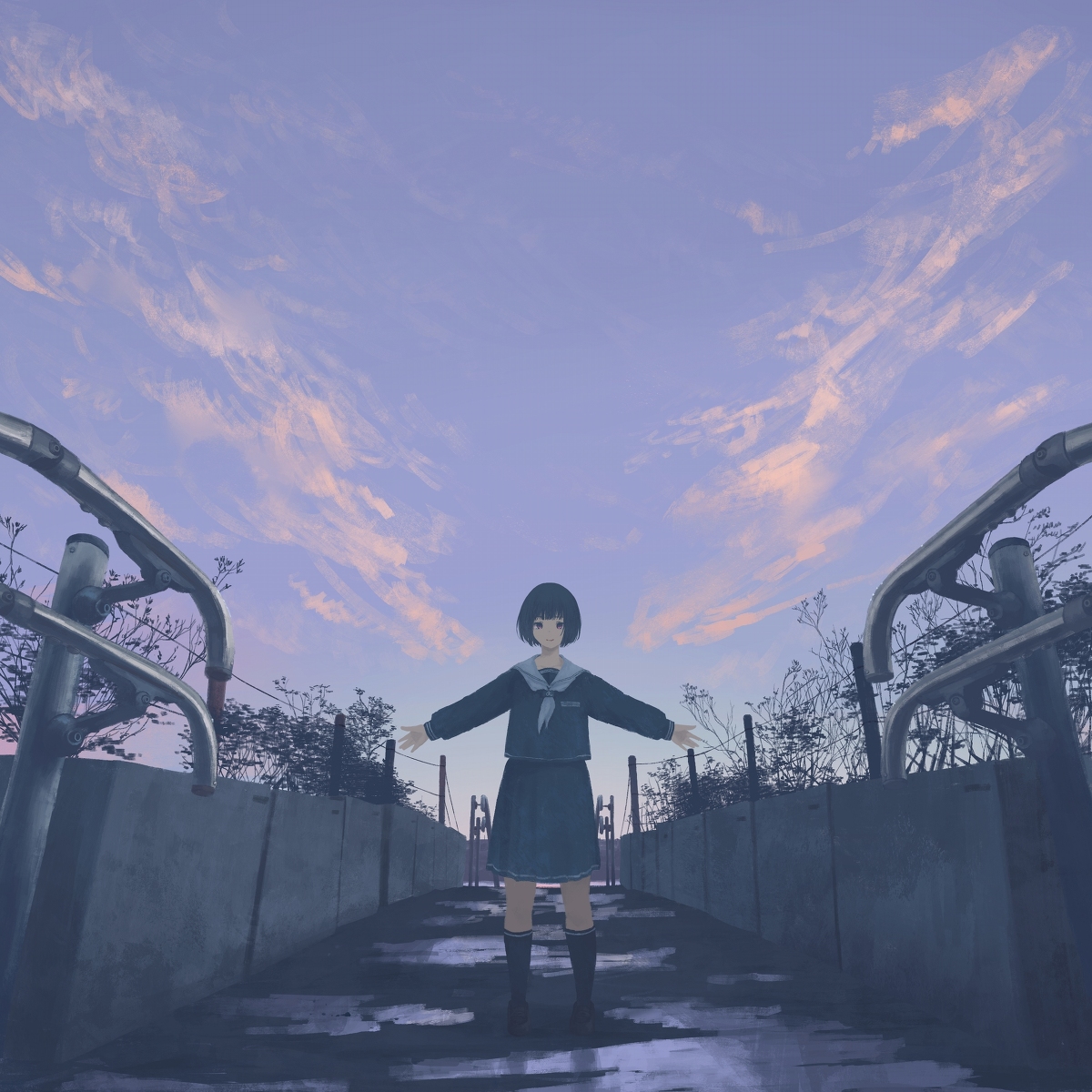 This is a pixiv picture whose title is 有限の翼.