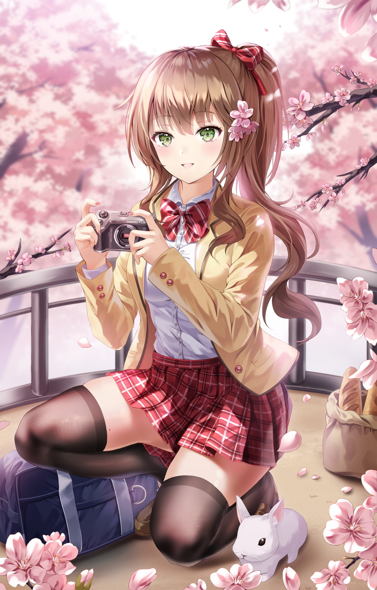This is a pixiv picture whose title is 桜.