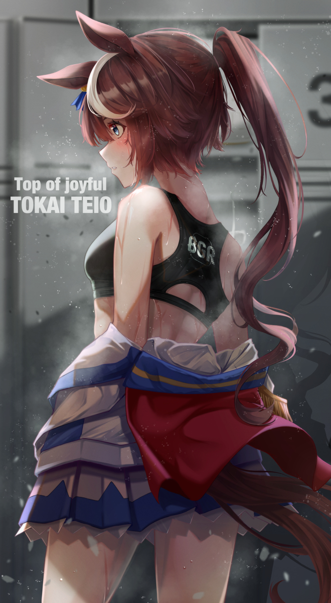 This is a pixiv picture whose title is トウカイテイオー.