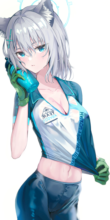 This is a pixiv picture whose title is シロコ.