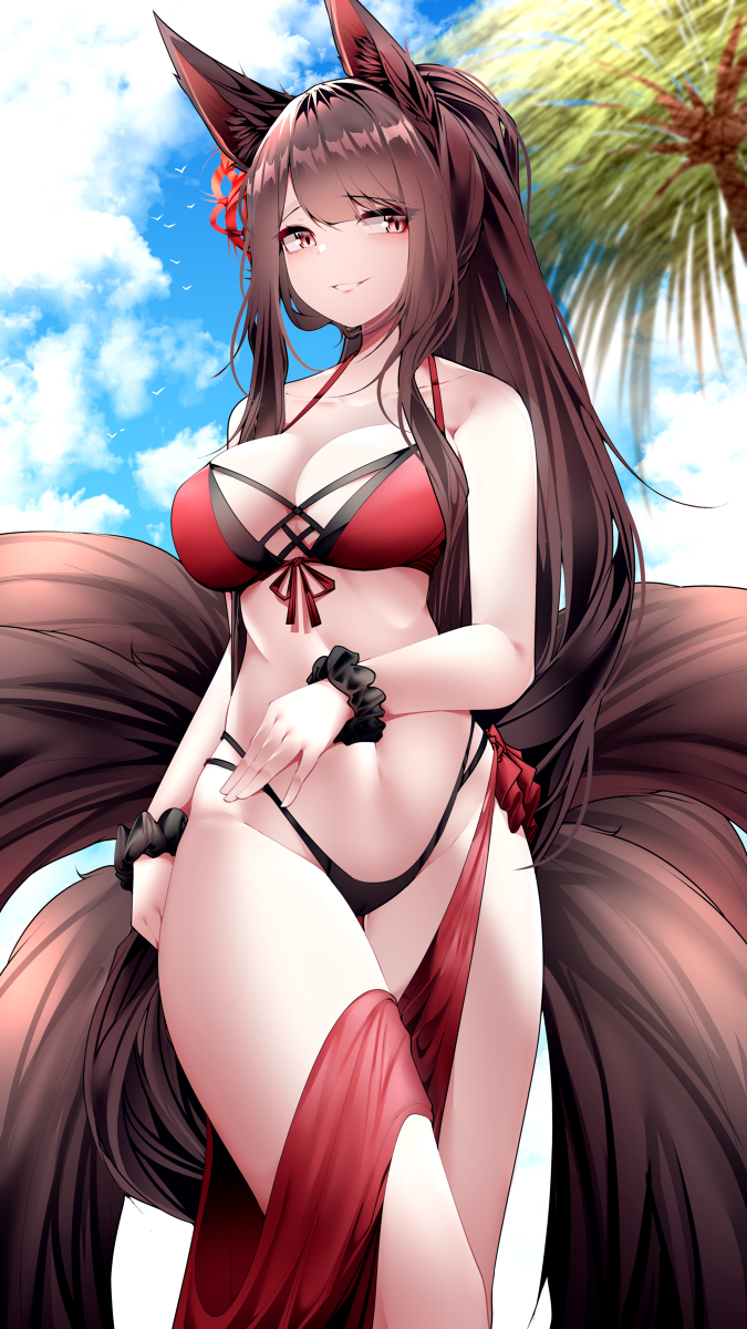 This is a pixiv picture whose title is Akagi.