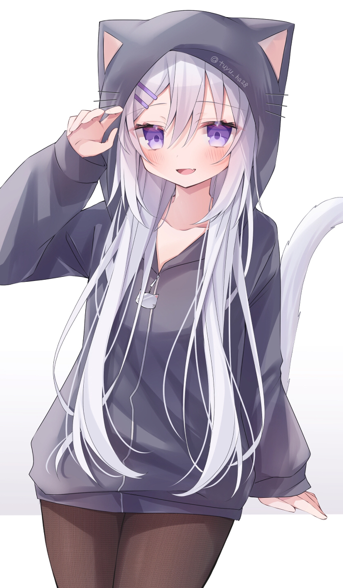 This is a pixiv picture whose title is 猫耳パーカー.