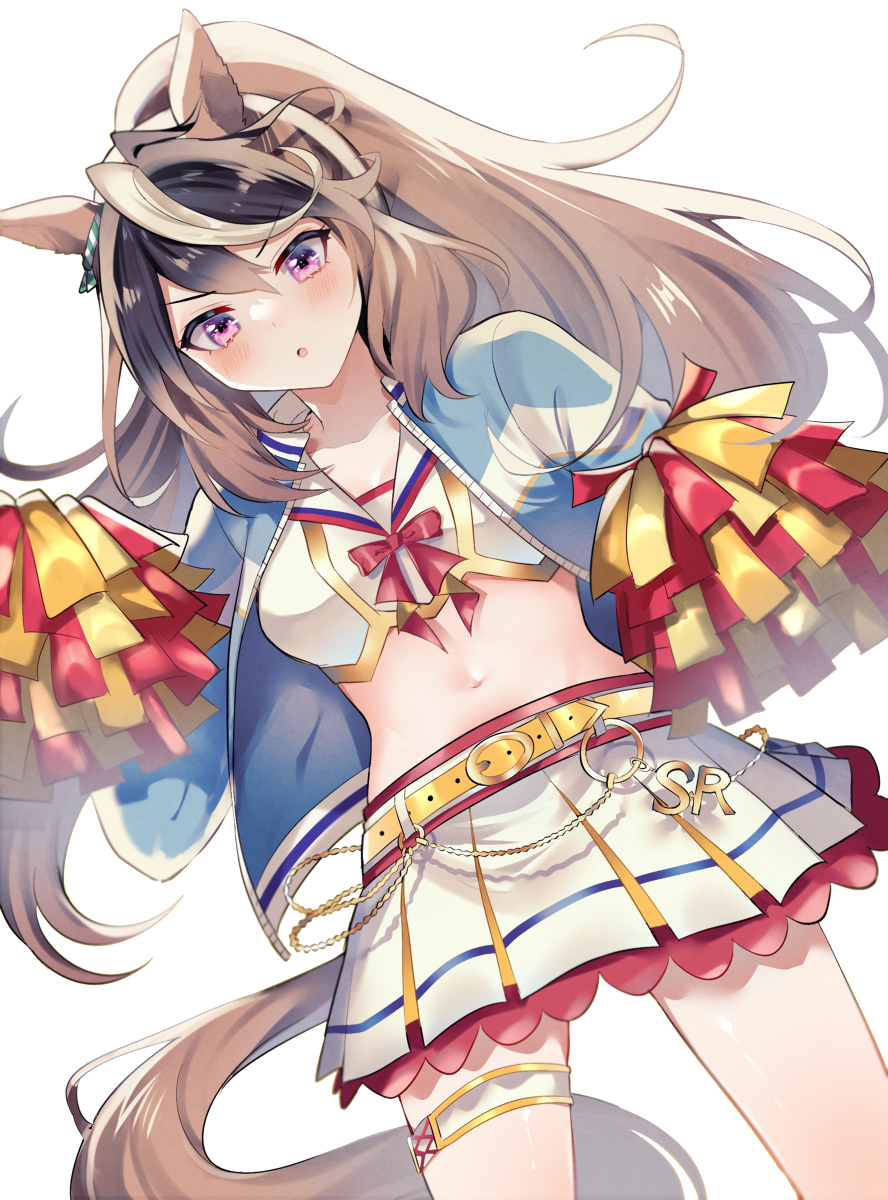 This is a pixiv picture whose title is チアガールドルフ.