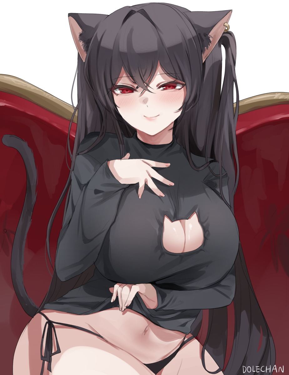 This is a pixiv picture whose title is 大鳳(cat).