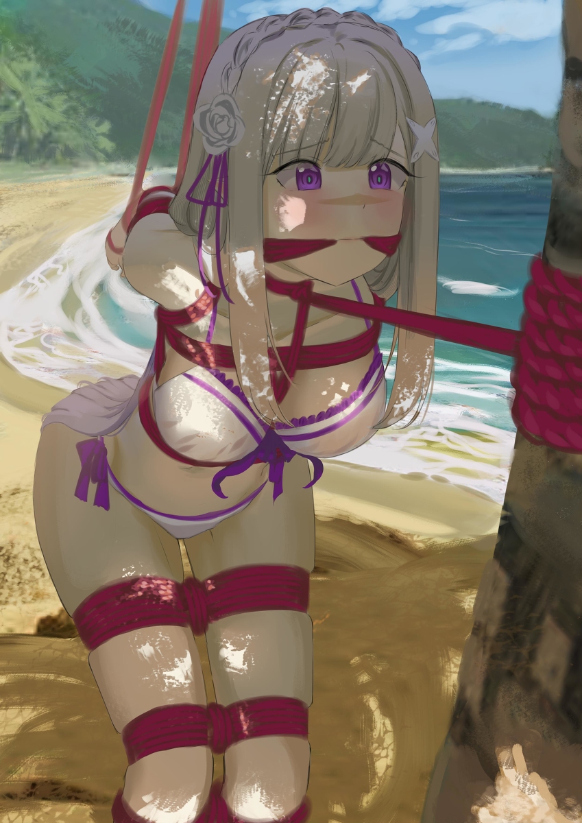 This is a pixiv picture whose title is beach emilia.