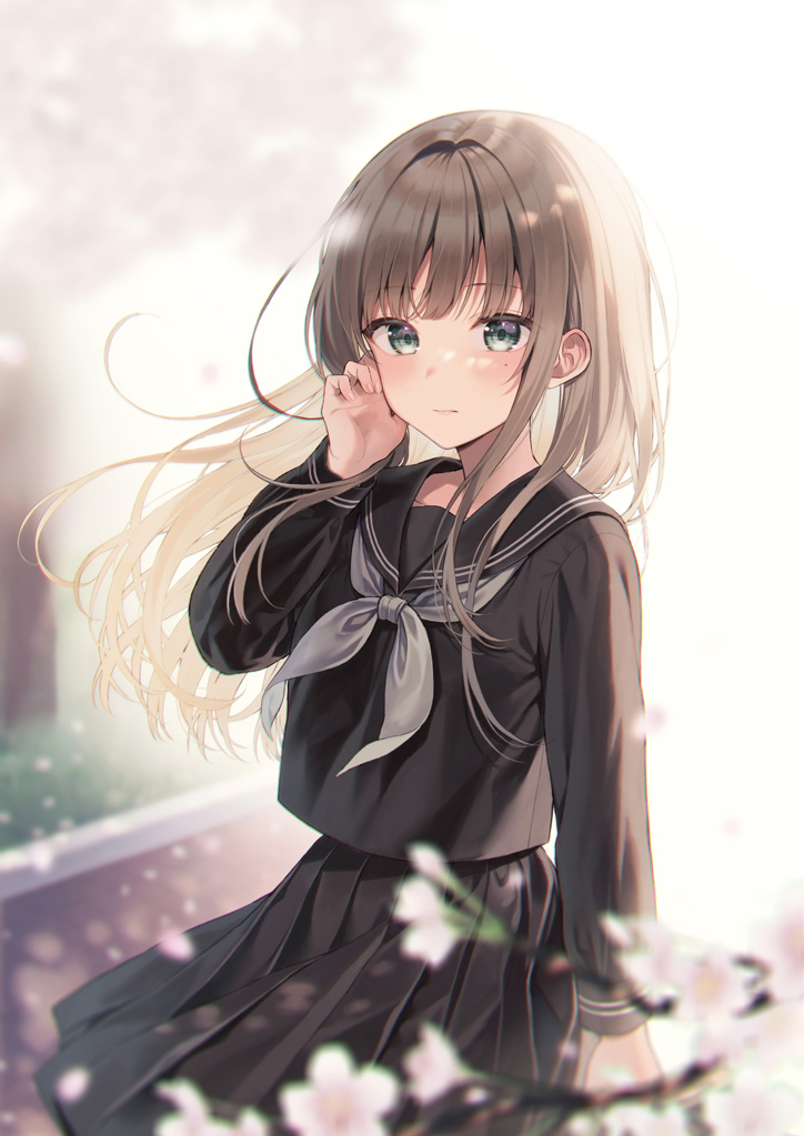 This is a pixiv picture whose title is 通学中によく見かける隣の学校の女の子.