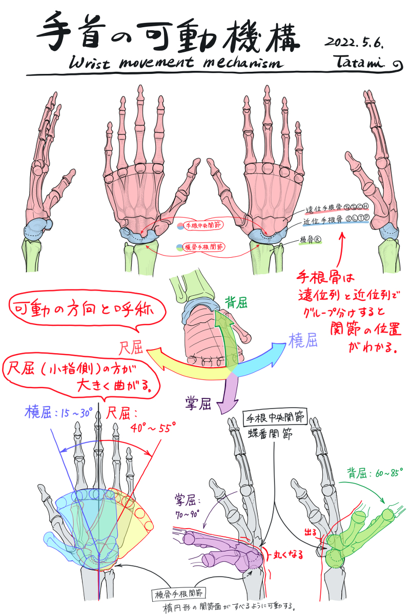 This is a pixiv picture whose title is 手首の可動機構.