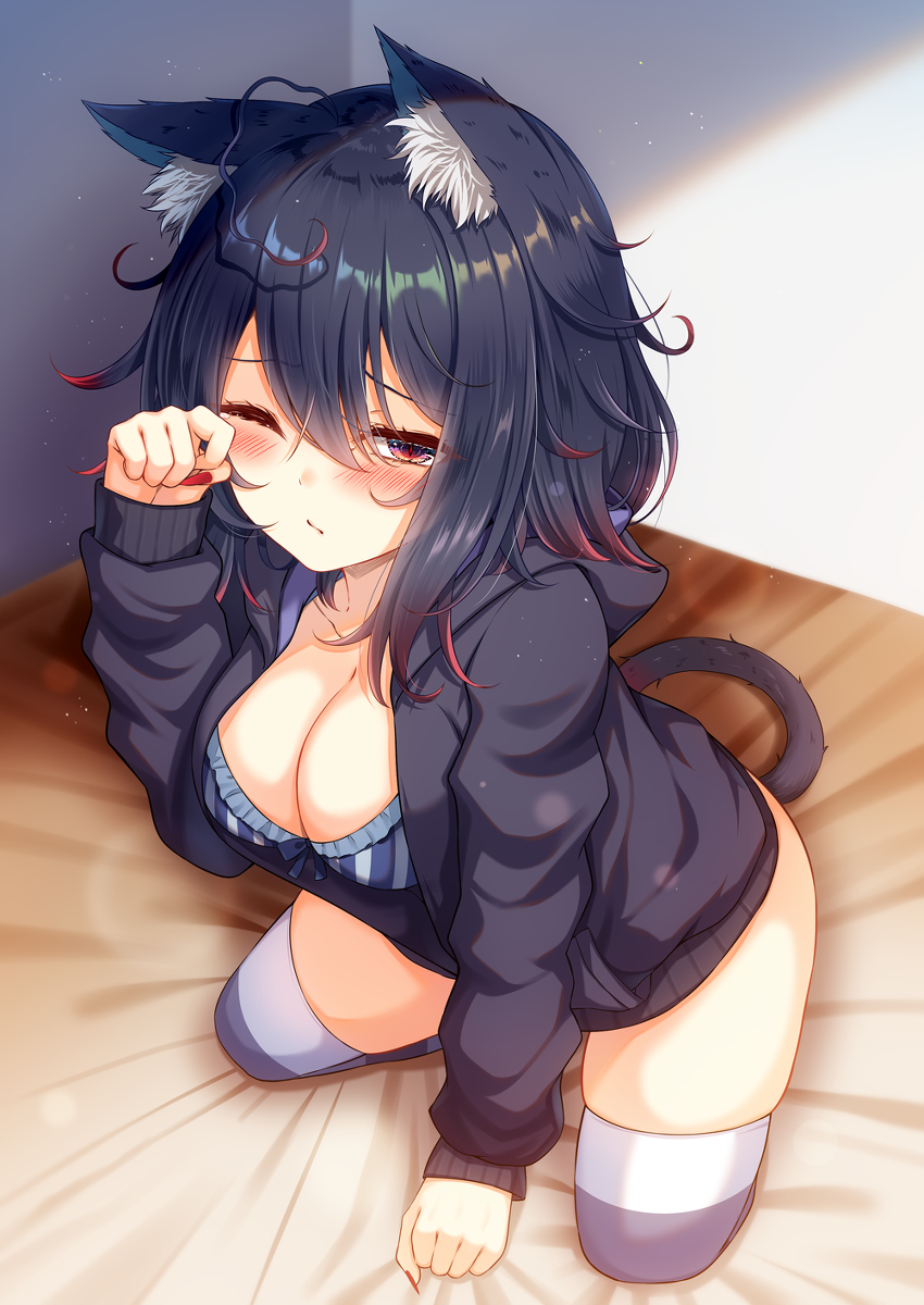 This is a pixiv picture whose title is 起きろ、どらちゃん.