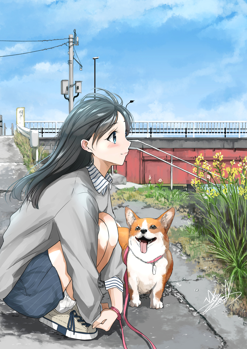 This is a pixiv picture whose title is いつもの散歩道.